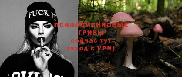 mdpv Арсеньев